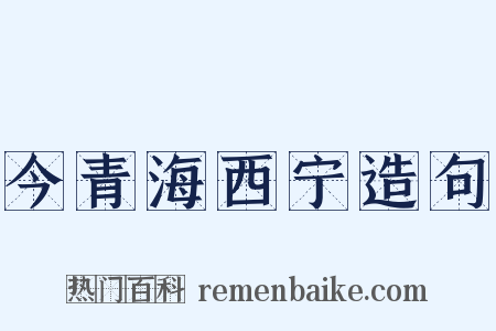 今青海西宁造句是什么意思的图片